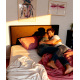 Matelas Icöne – Ressorts ensachés 7 zones & mousse mémoire de forme