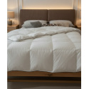 Couette Idylle Légère – Duvet haut de gamme, toucher soyeux