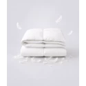 Couette Charme – Duvet de canard et percale douce