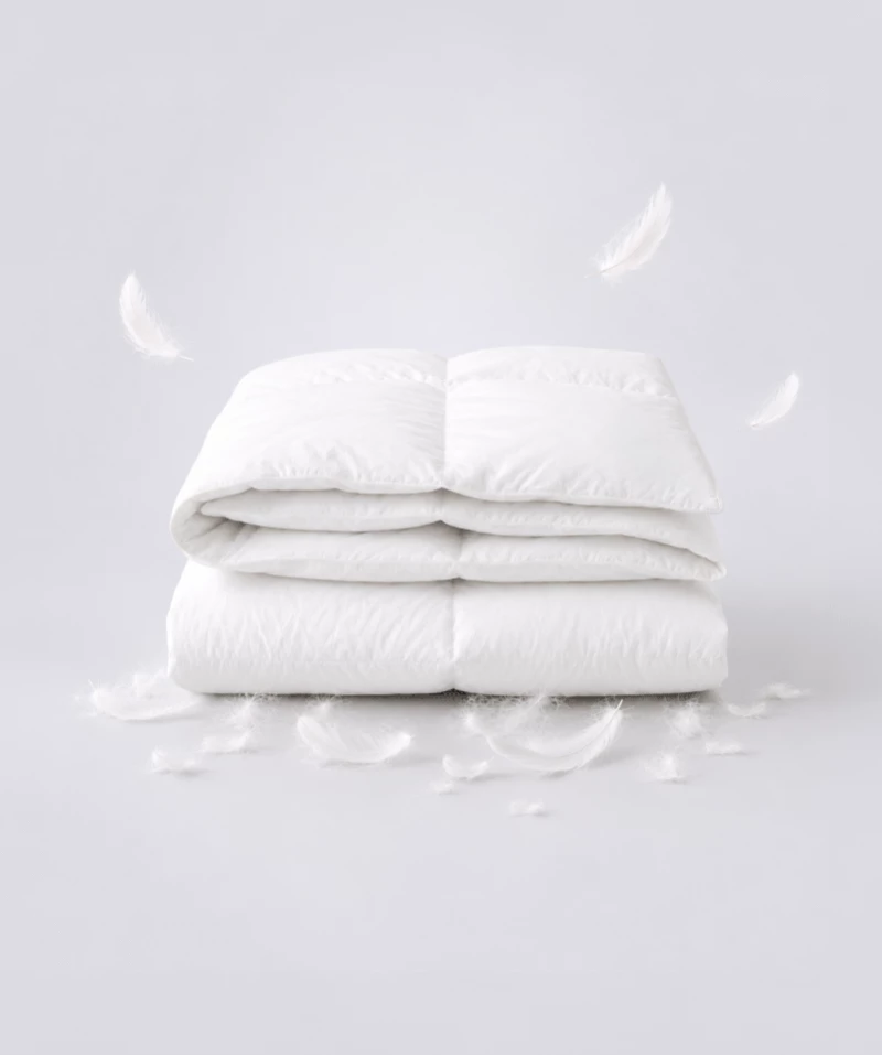 Couette Charme – Duvet de canard et percale douce