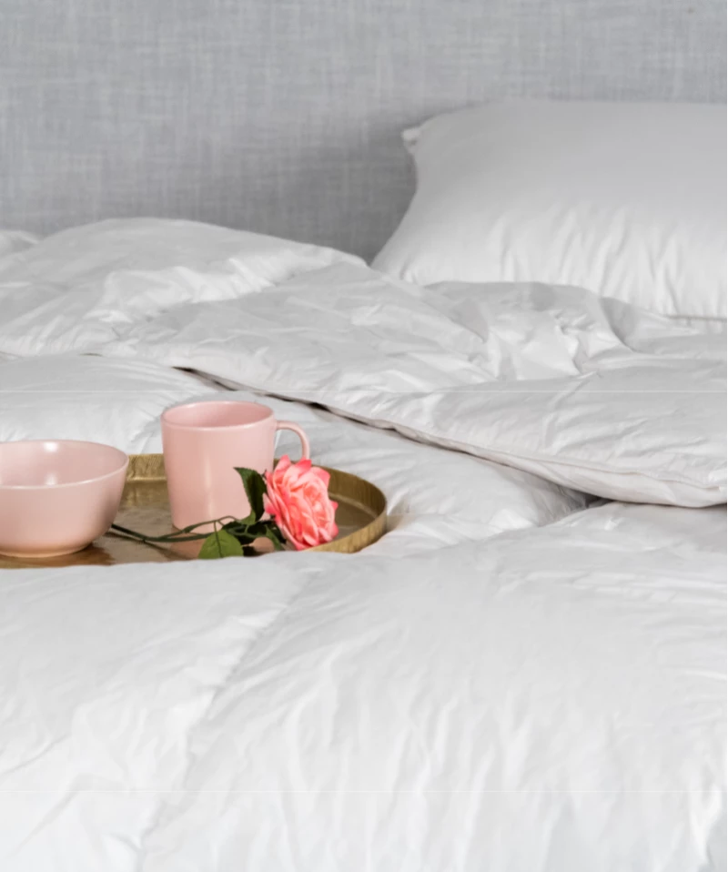 Couette Duv'Shine – Duvet naturel et chaleur équilibrée pour l’hiver