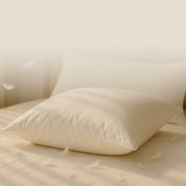 Oreillers en duvet/plumes